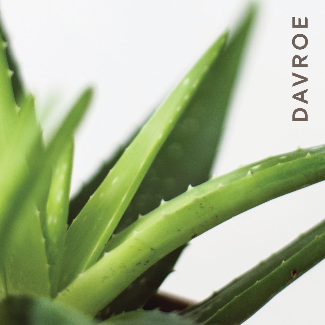 Luxe Leave - In Masque 150 ml - Afbeelding 6